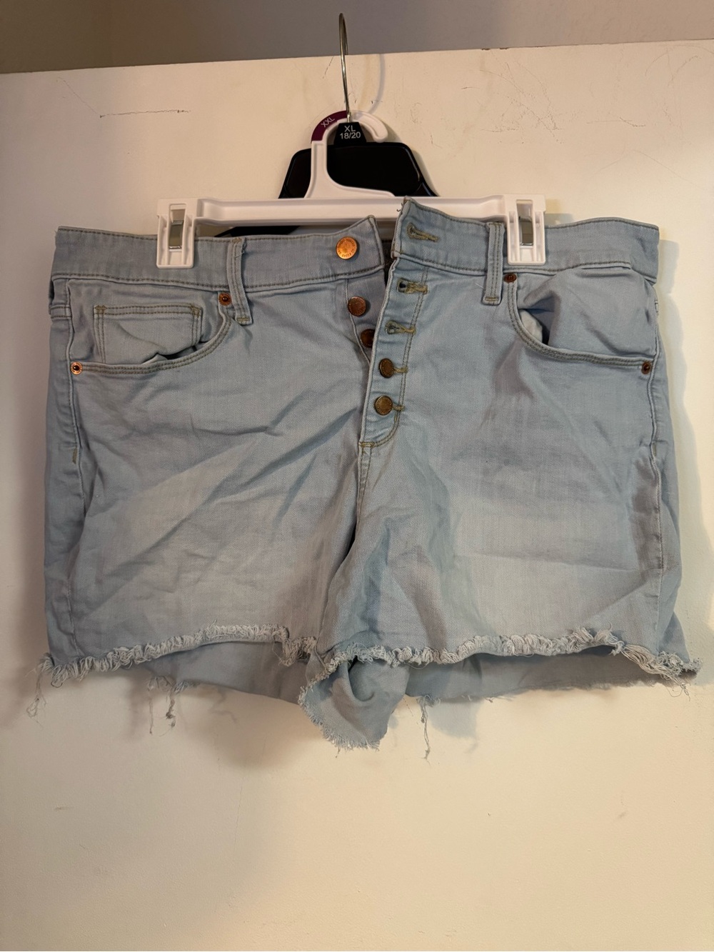 Universal Thread Pale Blue Button-Fly Frayed Hem Denim Shorts